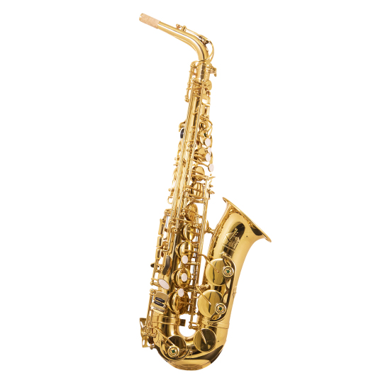 Trevor James saxophone - TJ 'Horn' Alto Saxophone